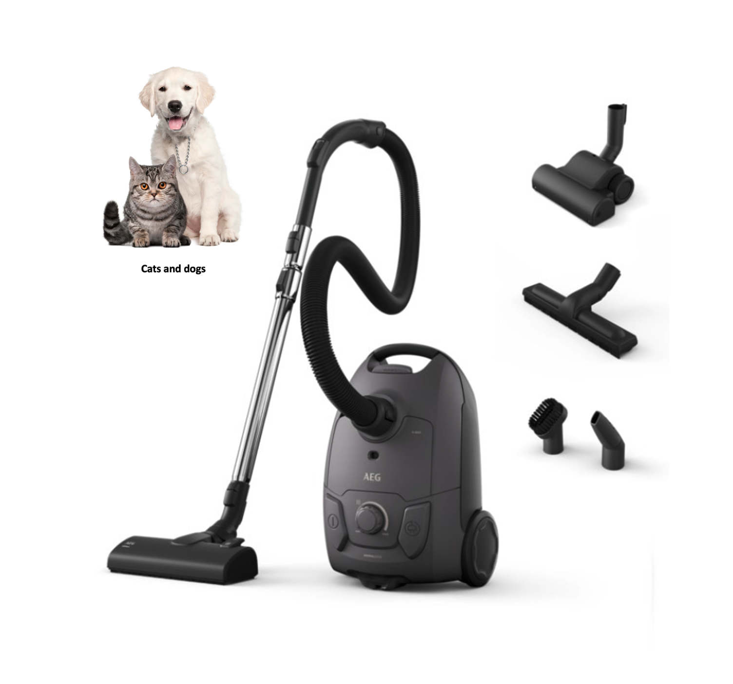 AEG AB51A4DG ANIMAL 5000 aspirateur avec sac